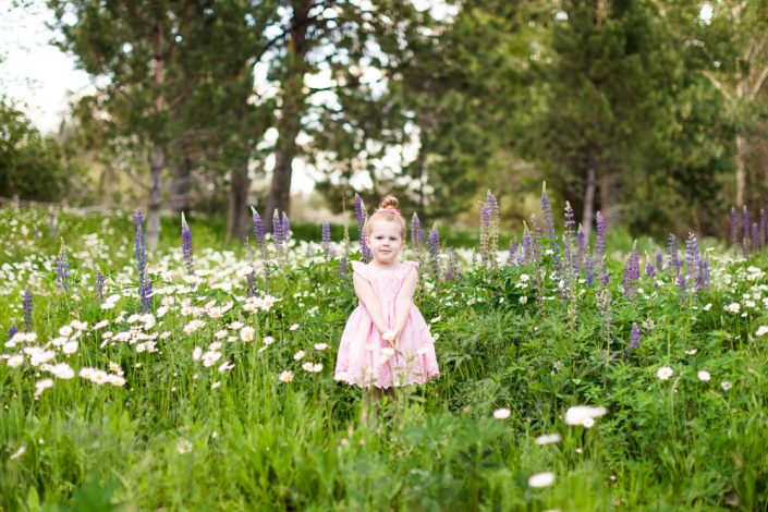 A three year old girl stands in a wildflower patch of purple lupines and shasta daisies for reno child portraits by Reno Child Photographer