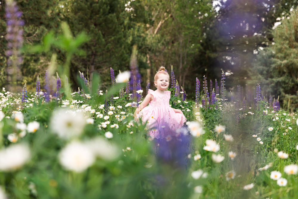 A three year old girl stands in a wildflower patch of purple lupines and shasta daisies for reno child portraits by Reno Child Photographer