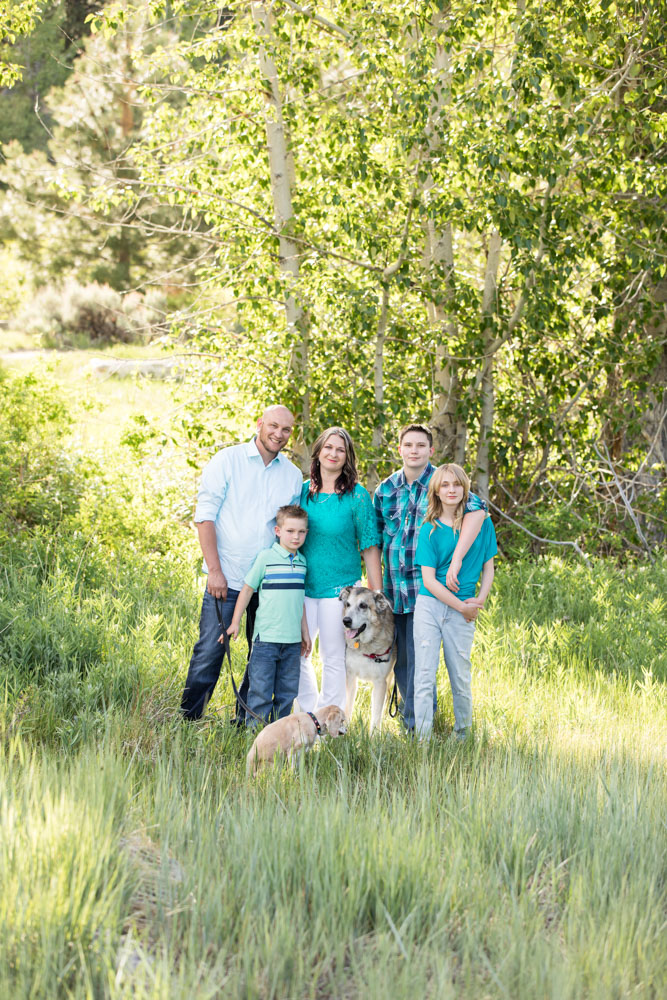 Family of five sitting in a field with their dogs for portraits by Reno Family Photographer
