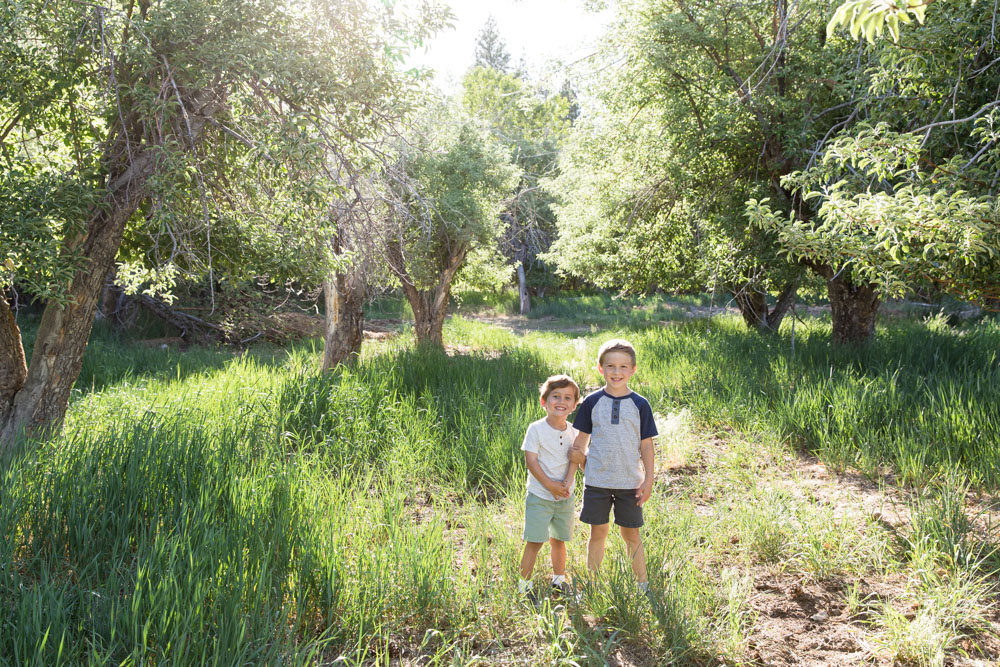 Two boys stand together in a lush summer meadow for Reno Family Portraits by Reno Family Photographer