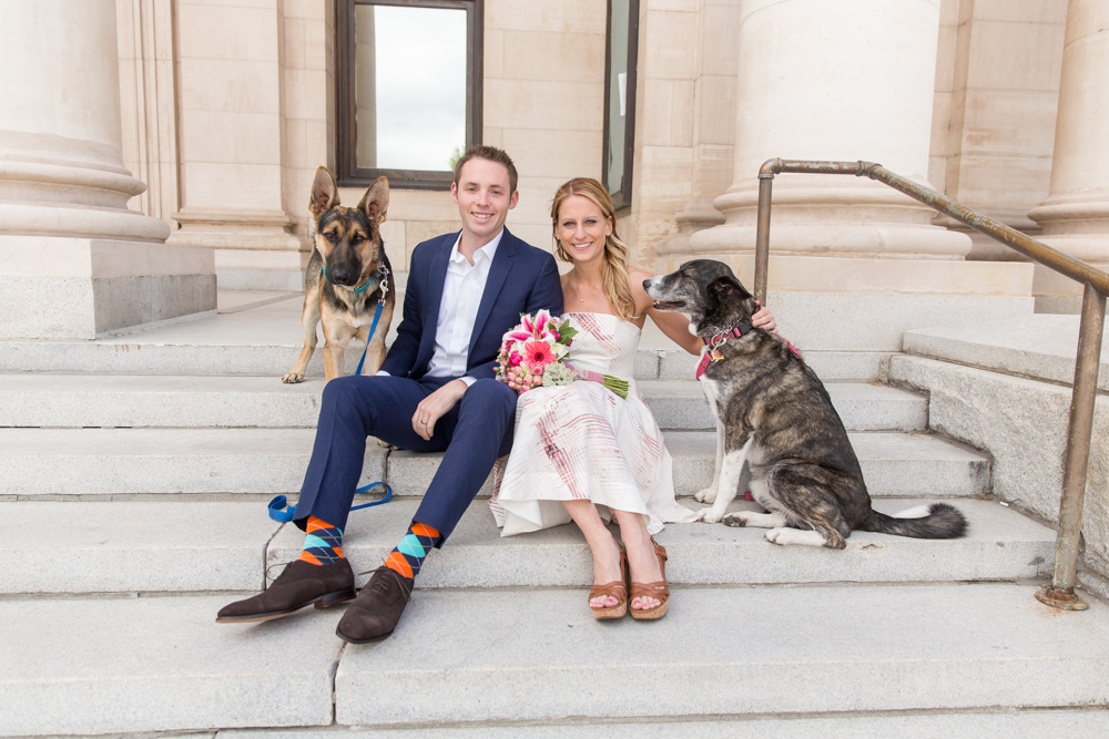 Elopement couple hangs out with their dogs on the courthouse steps for elopement photos by Reno Wedding Photographer