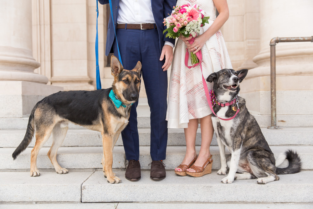 Wedding couple and their dogs on the courthouse steps by Reno Wedding Photographer