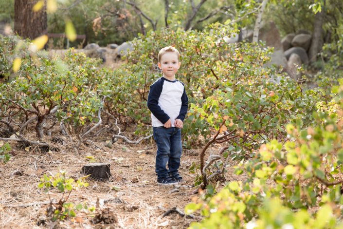 3-year-old boy in front of manzanita and pine trees at Galena Creek Park for fall child portraits by Reno Family Photographer