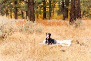 Baby Boy One Year Cake Smash Photos By Reno Baby Photographer in Galena Creek Area