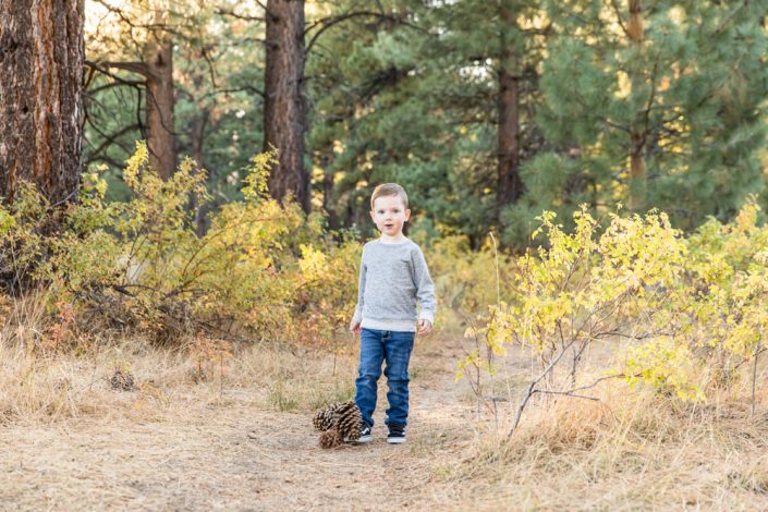 A little boy plays with pine cones in the woods during his fall family portrait session with Reno Family Photographer