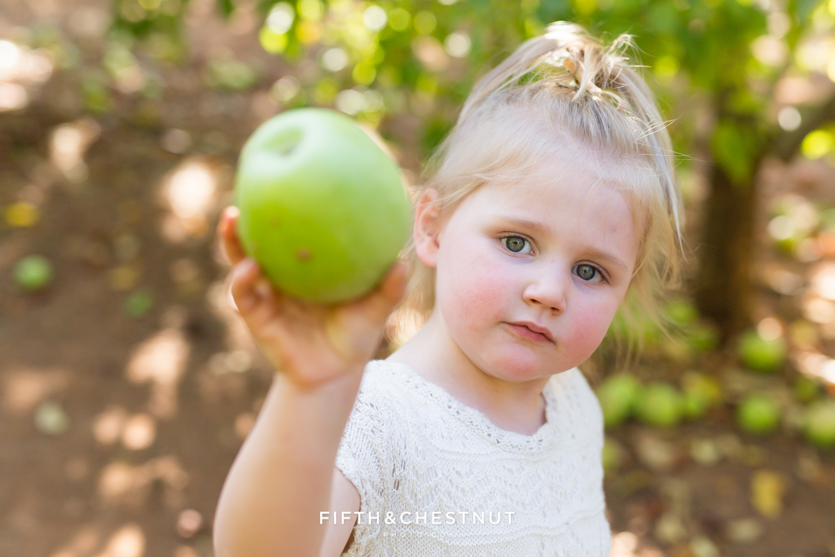 Apple Hill Portrait of little girl holding an apple by Reno Family Photographer