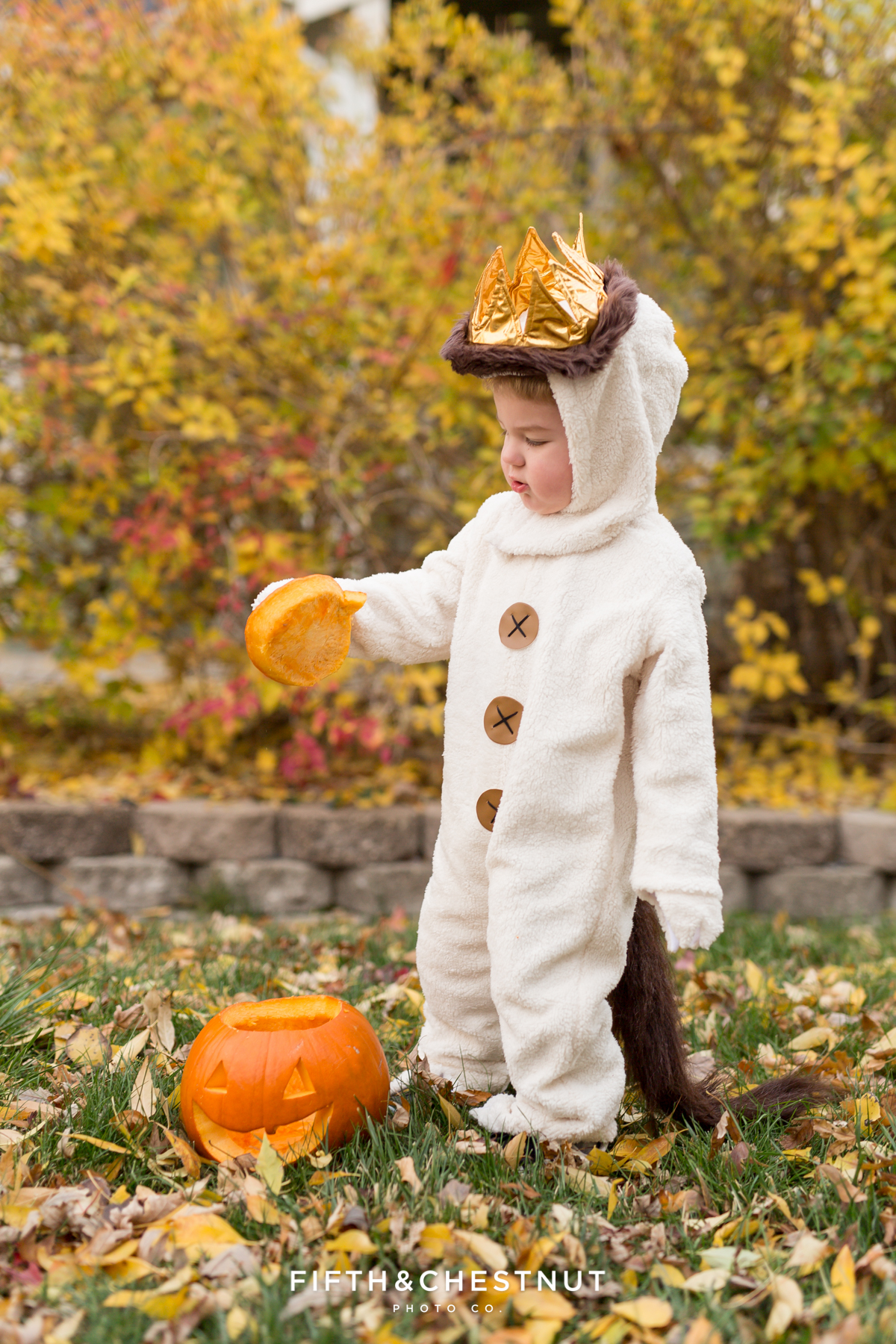 Where the Wild Things Are Halloween Portraits by Reno Child Photographer