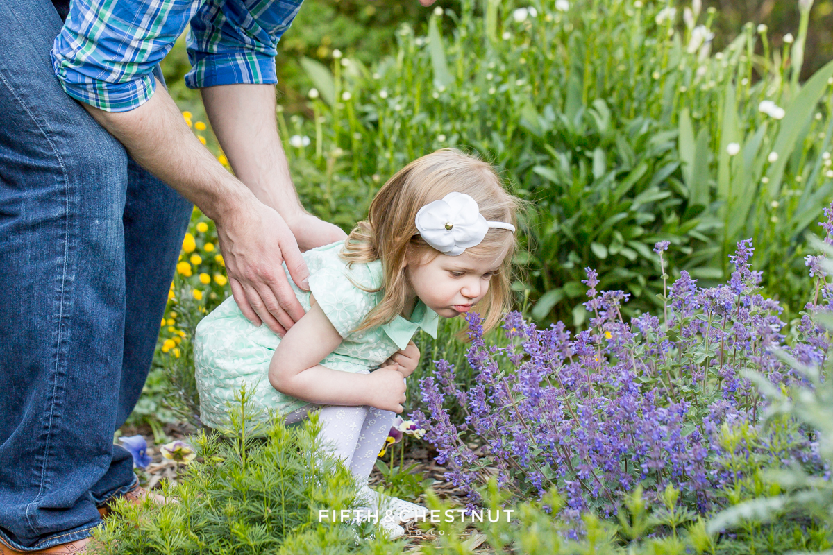 two year old girl sniffs flowers with her dad at rancho san rafael as photographerd by Reno Family Photographer