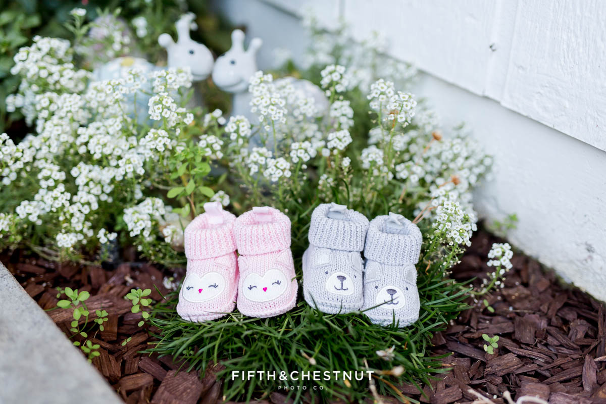 Twin Gender reveal with pink booties and gray booties in a garden