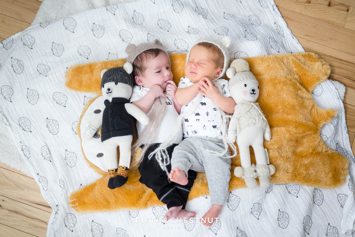 Twin baby portrait on fox and hedgehog blanket by Reno baby Photographer