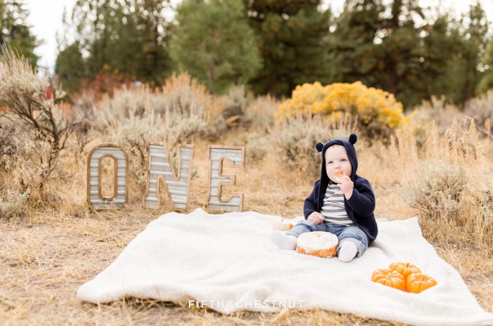 Baby Boy One year cake smash photos by Reno Baby Photographer