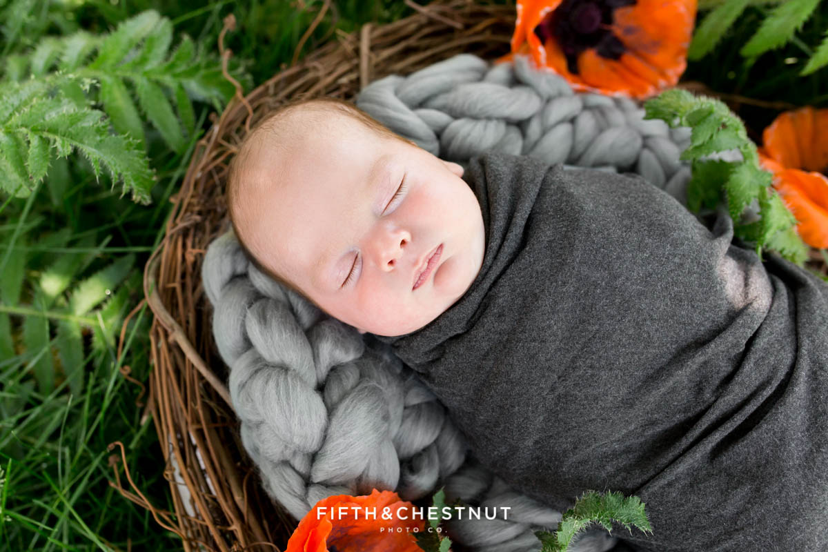 A close up outdoor newborn portrait of a newborn baby boy laying in a padded nest surrounded by poppies for his Reno newborn photos by Reno Newborn Photographer Fifth and Chestnut Photo Co.