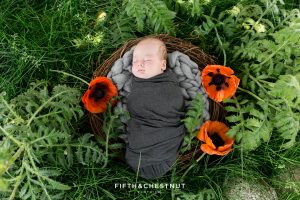 A fine art outdoor newborn portrait of a newborn baby boy laying in a padded nest surrounded by poppies for his Reno newborn photos by Reno Newborn Photographer Fifth and Chestnut Photo Co.