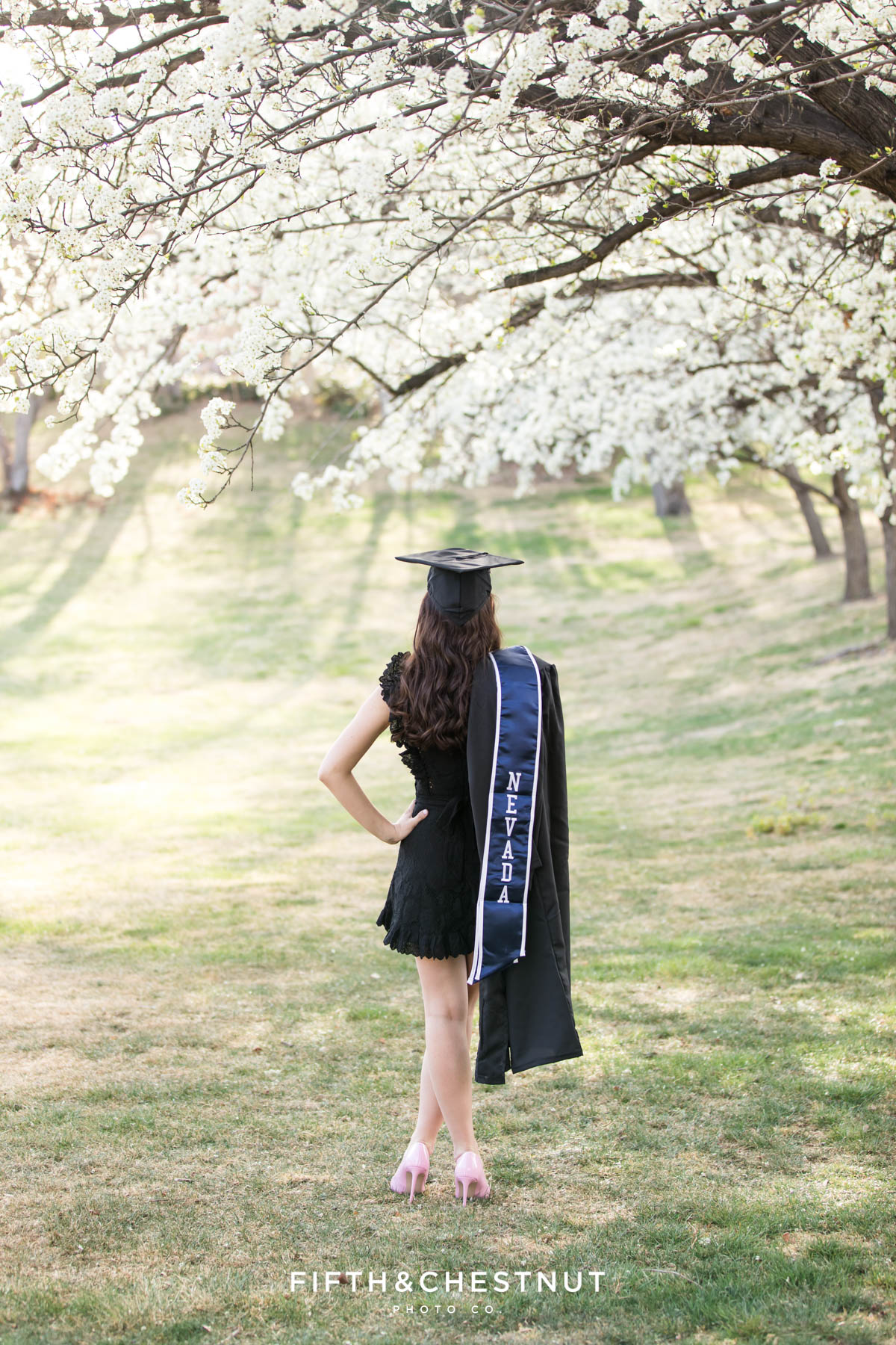A UNR graduate stands with her back turned on an expansive lawn surrounded by white blossom trees for her spring UNR graduation portraits