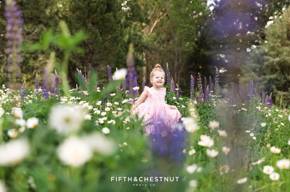 A sweet three year old girl in a pink dress twirls around a patch of lupines and daisies for spring wildflower portraits by reno child photographer