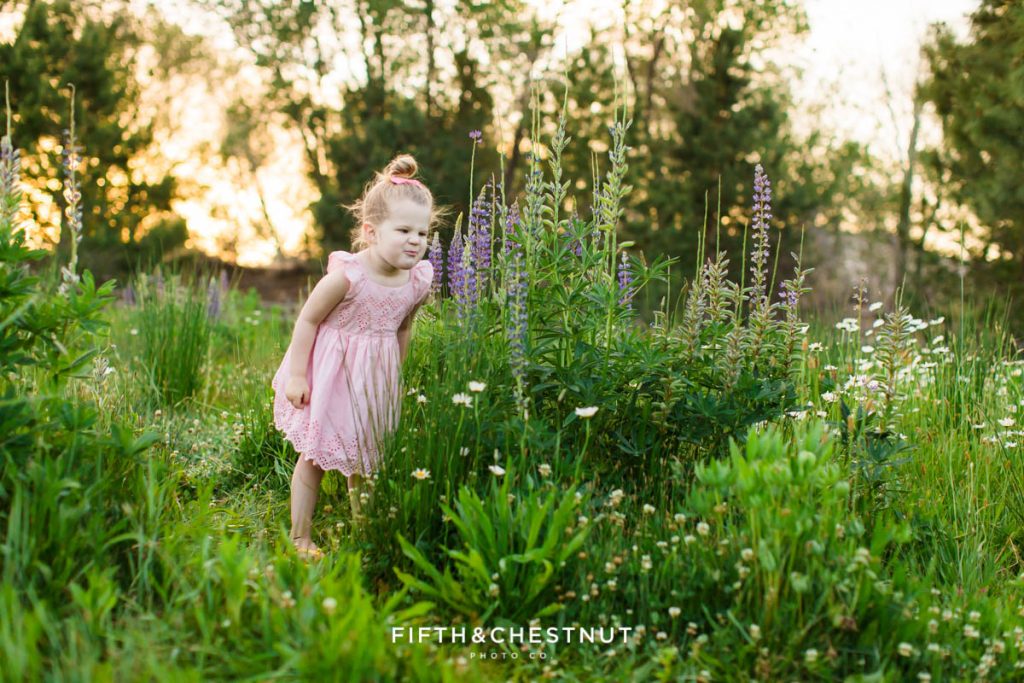 A three year old girl in a pink dress smells wild purple lupines during her spring wildflower portraits by Reno child photographer