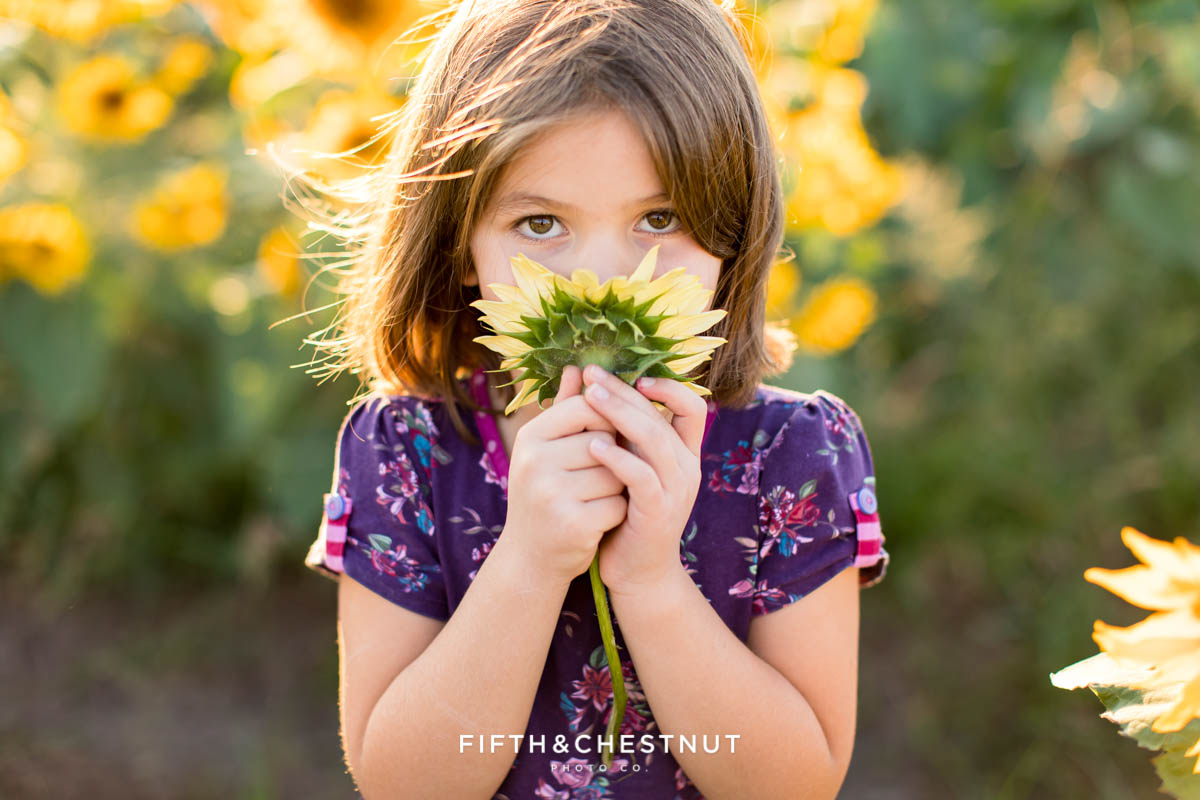 a little girl smells a beautiful sunflower with golden light falling behind her as she stands in a sunflower field for her summer sunflower portraits in reno, nv