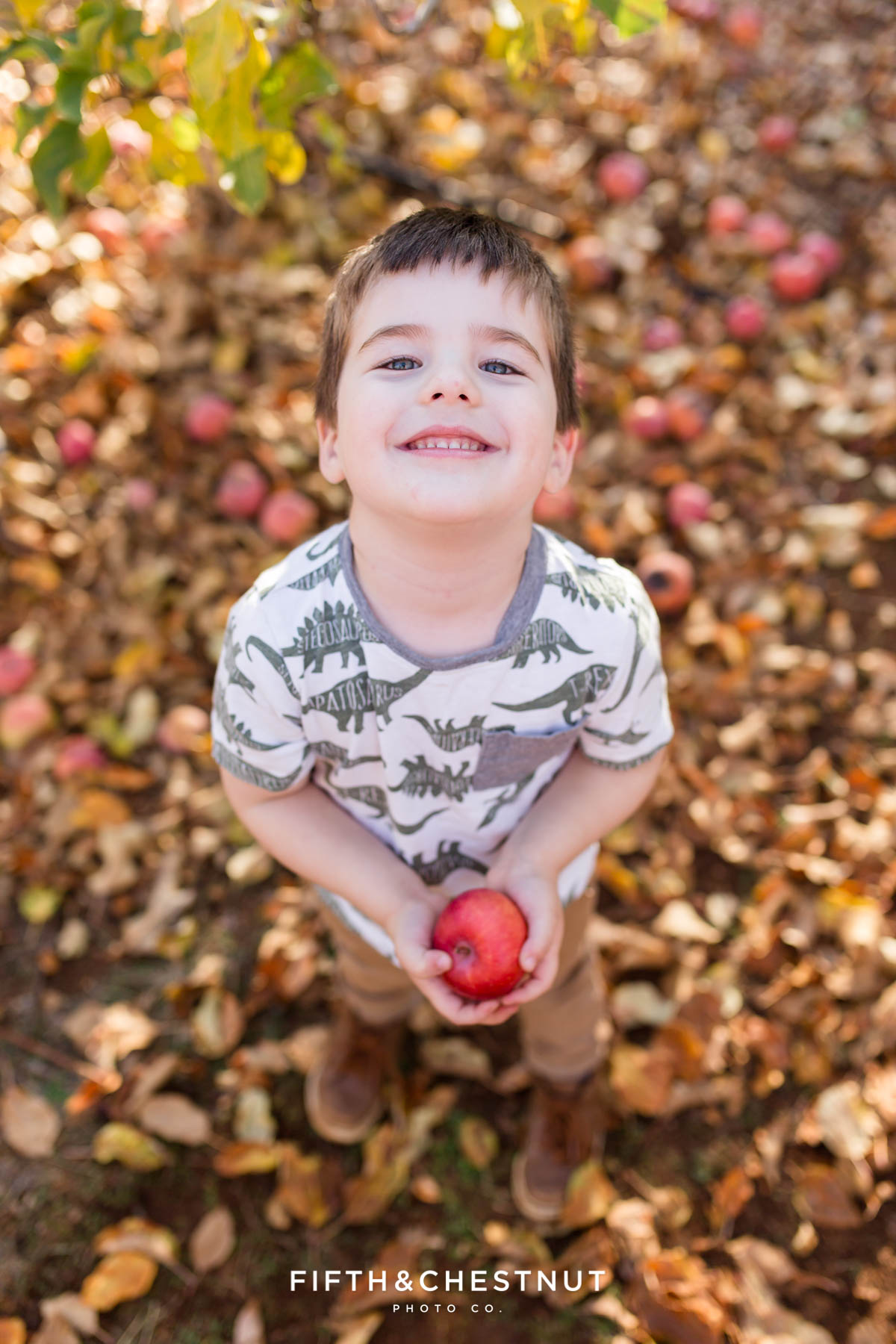 Apple Hill 2021 Fifth and Chestnut