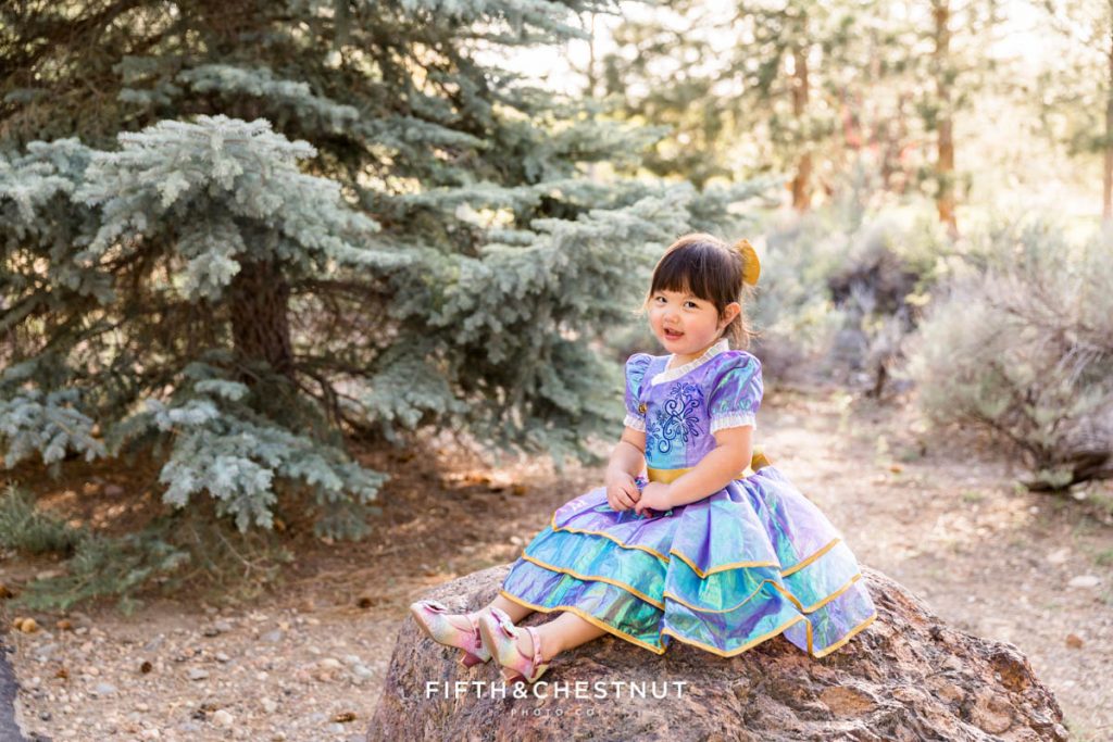 A three year old girl wearing a special mini mouse dress sitting on a rock with an evergreen tree in the background for her reno family portraits by Reno Family Photographer