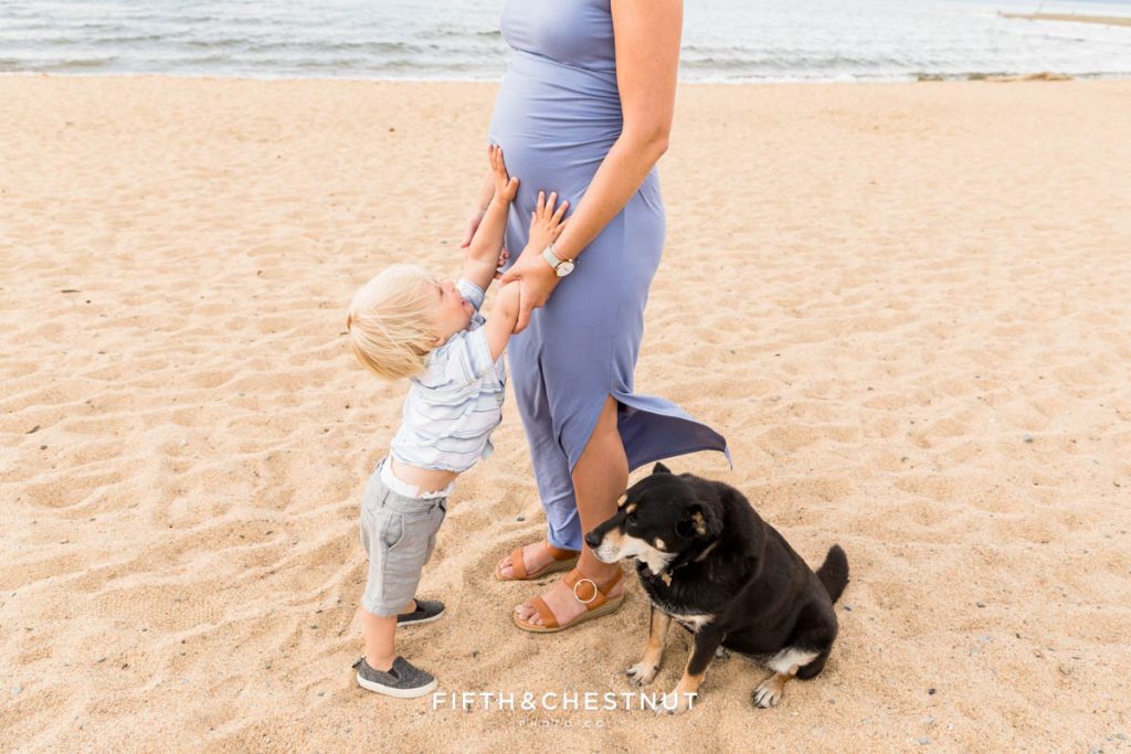 Gorgeous summer Lake Tahoe family and maternity portraits