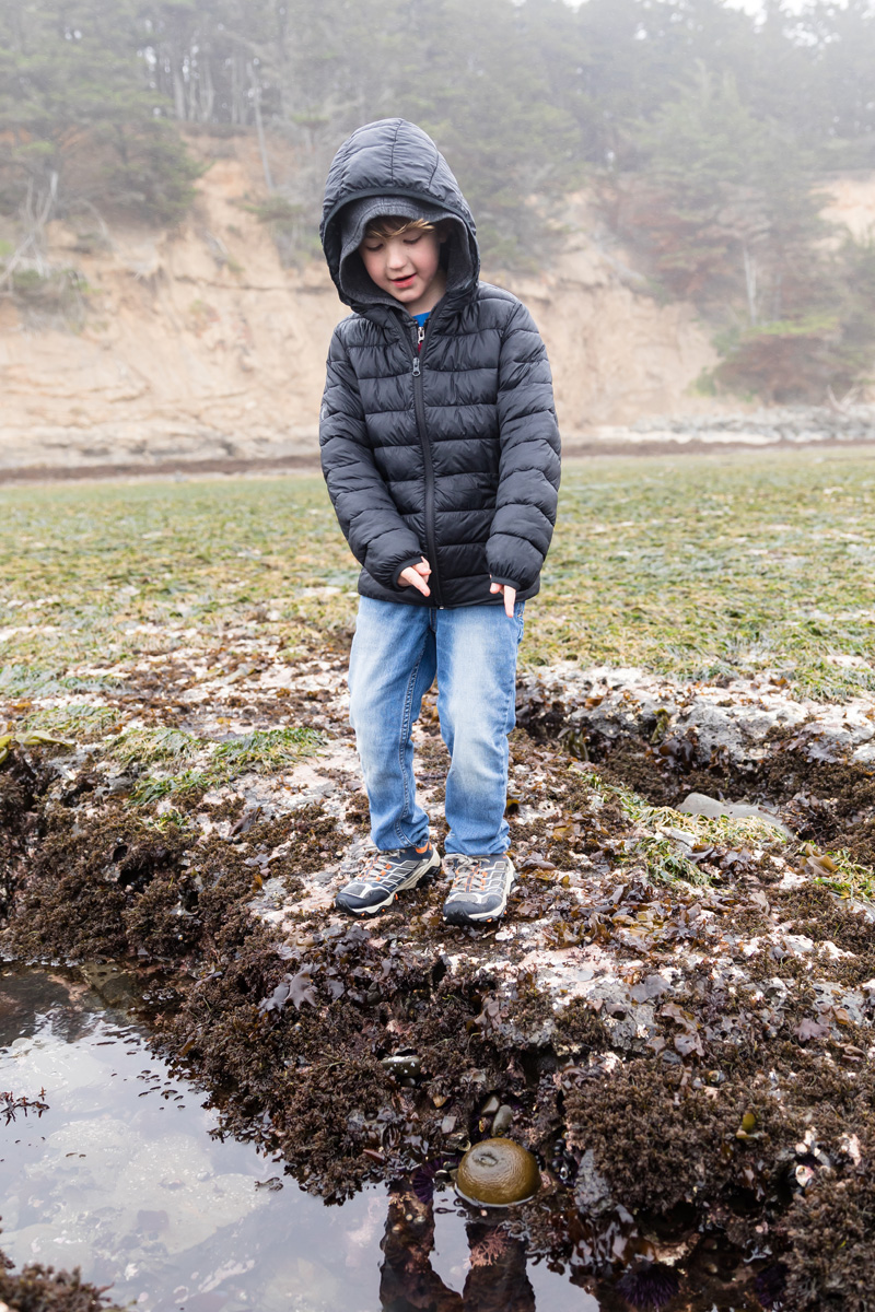 A six year old boy in a black puffer jacket with jeans looks at a sea anemone in Half Moon Bay during an ocean vacation in March with foggy weather in the background