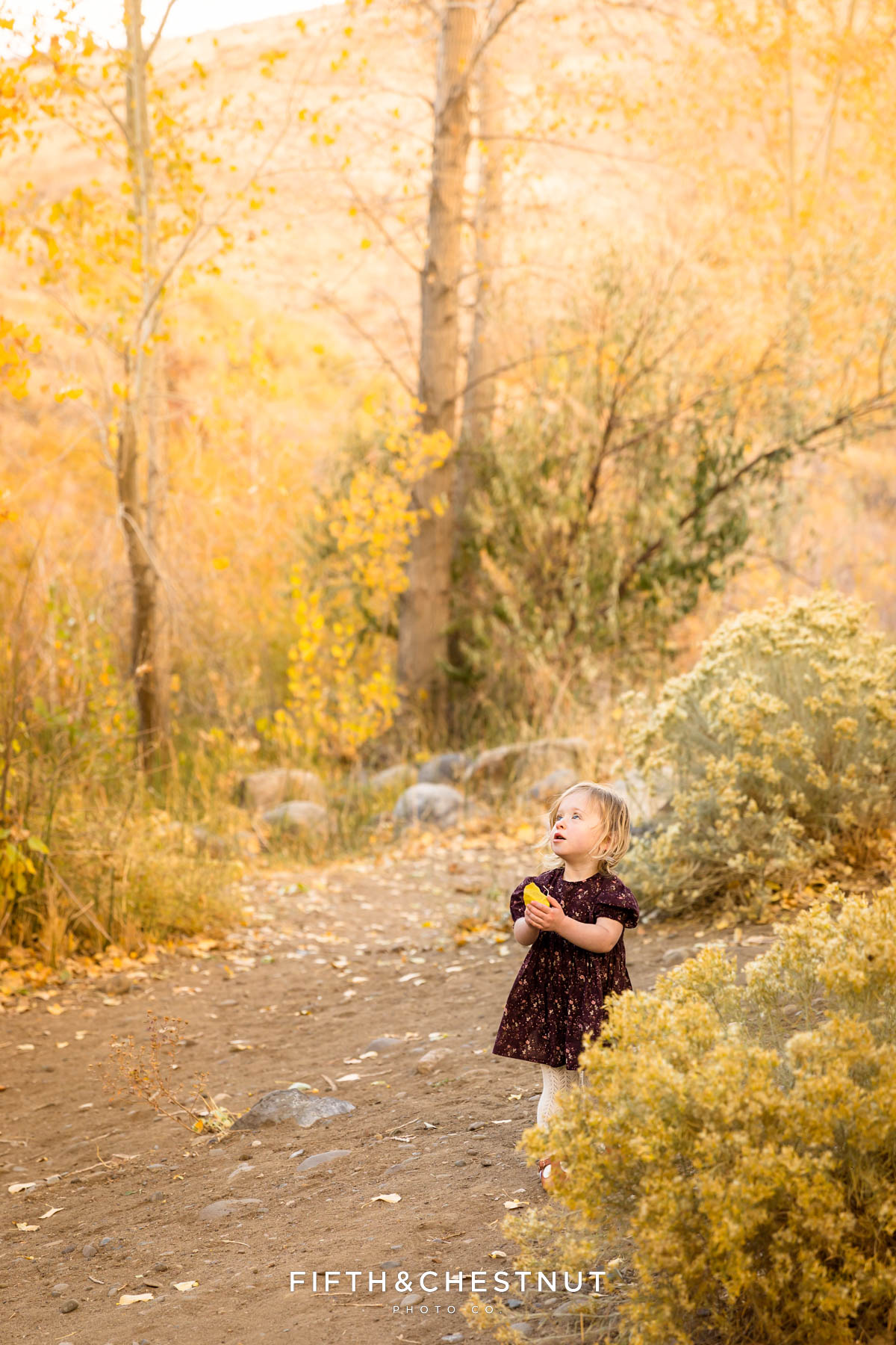 Ethereal Fall family portrait at Mayberry Park by Reno Family Photographer