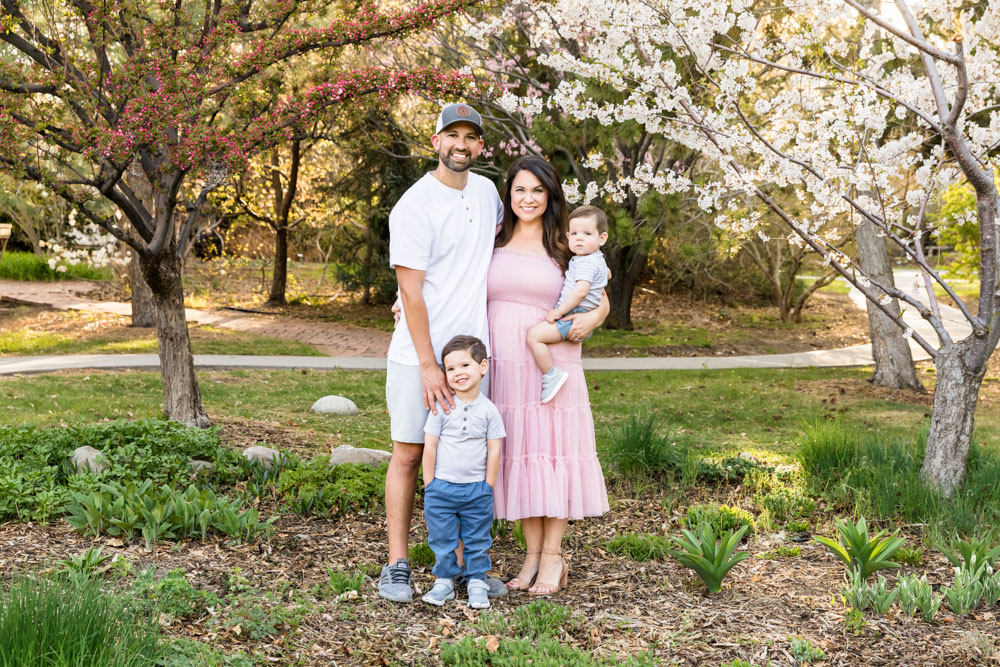 Precious spring family photos in Reno at Rancho San Rafael with pear and plum trees in bloom.